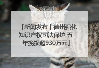 新闻发布丨德州强化知识产权司法保护 五年挽损超930万元