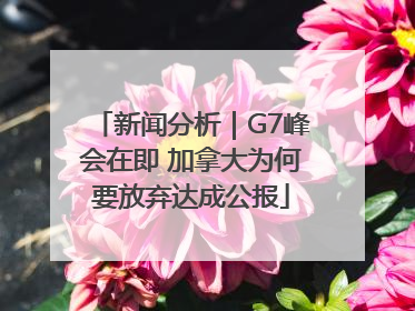 新闻分析｜G7峰会在即 加拿大为何要放弃达成公报