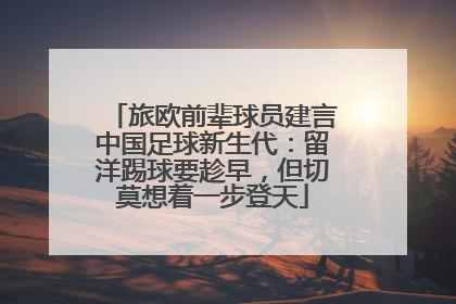 旅欧前辈球员建言中国足球新生代：留洋踢球要趁早，但切莫想着一步登天