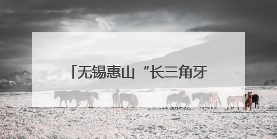 无锡惠山“长三角牙谷”建设正式启动