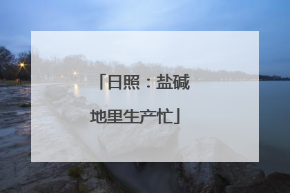 日照：盐碱地里生产忙