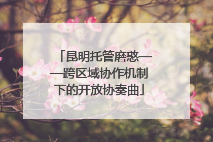 昆明托管磨憨——跨区域协作机制下的开放协奏曲