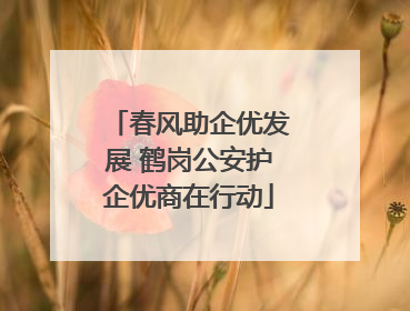 春风助企优发展 鹤岗公安护企优商在行动
