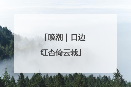 晚潮｜日边红杏倚云栽