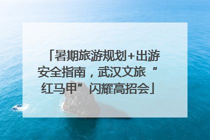 暑期旅游规划+出游安全指南，武汉文旅“红马甲”闪耀高招会