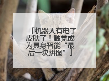 机器人有电子皮肤了！触觉或为具身智能“最后一块拼图”