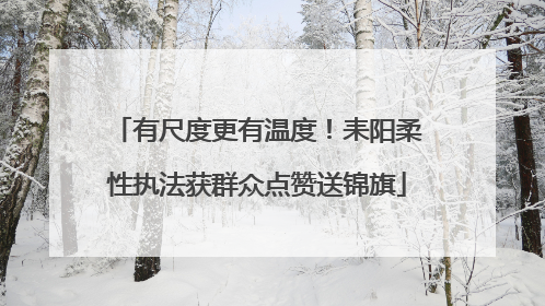 有尺度更有温度！耒阳柔性执法获群众点赞送锦旗