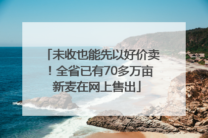 未收也能先以好价卖！全省已有70多万亩新麦在网上售出