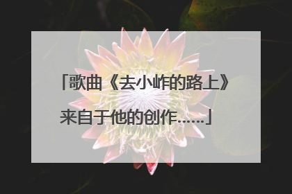歌曲《去小岞的路上》来自于他的创作……
