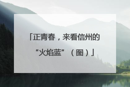 正青春，来看信州的“火焰蓝”（图）