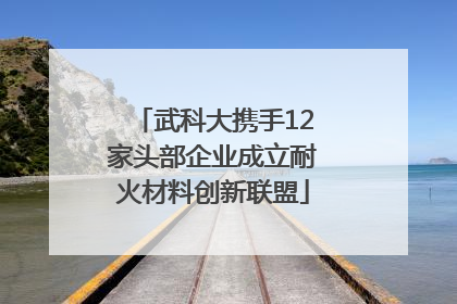 武科大携手12家头部企业成立耐火材料创新联盟