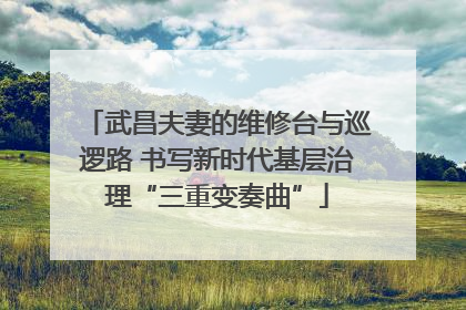武昌夫妻的维修台与巡逻路 书写新时代基层治理“三重变奏曲”