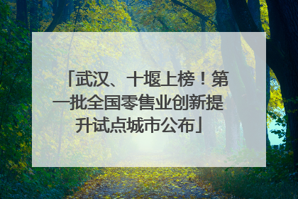 武汉、十堰上榜！第一批全国零售业创新提升试点城市公布