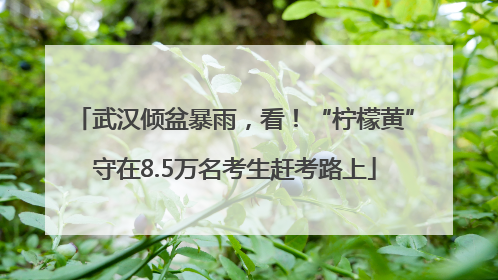 武汉倾盆暴雨，看！“柠檬黄”守在8.5万名考生赶考路上