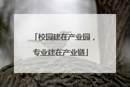 校园建在产业园，专业建在产业链
