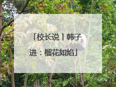 校长说丨韩子进：榴花如焰