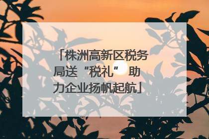 株洲高新区税务局送“税礼” 助力企业扬帆起航