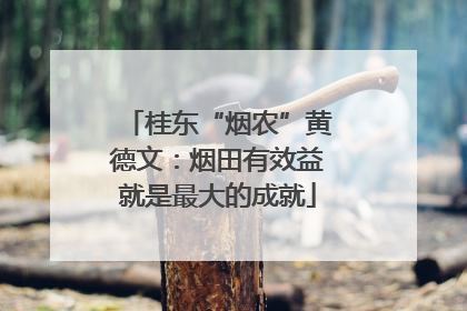 桂东“烟农”黄德文：烟田有效益就是最大的成就