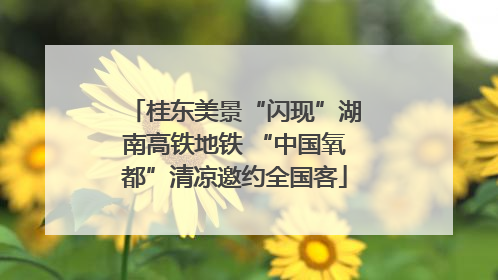 桂东美景“闪现”湖南高铁地铁 “中国氧都”清凉邀约全国客
