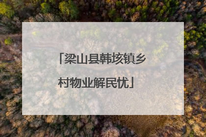 梁山县韩垓镇乡村物业解民忧