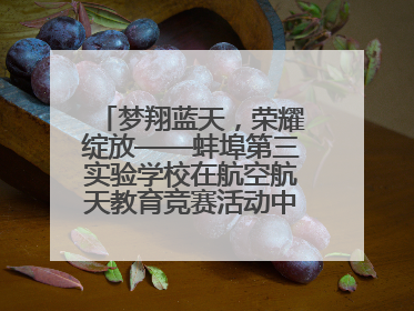 梦翔蓝天，荣耀绽放——蚌埠第三实验学校在航空航天教育竞赛活动中大放异彩