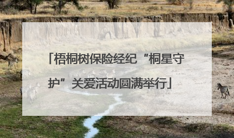 梧桐树保险经纪“桐星守护”关爱活动圆满举行