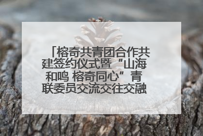 榕奇共青团合作共建签约仪式暨“山海和鸣 榕奇同心”青联委员交流交往交融活动在福州举行