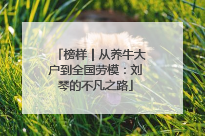 榜样｜从养牛大户到全国劳模：刘琴的不凡之路