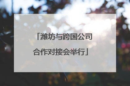 潍坊与跨国公司合作对接会举行