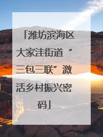 潍坊滨海区大家洼街道“三包三联”激活乡村振兴密码