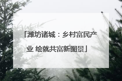 潍坊诸城：乡村富民产业 绘就共富新图景