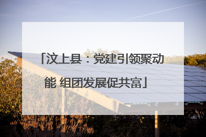 汶上县：党建引领聚动能 组团发展促共富