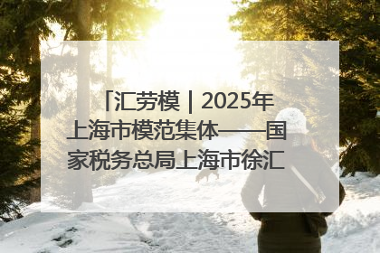 汇劳模｜2025年上海市模范集体——国家税务总局上海市徐汇区税务局第一税务所