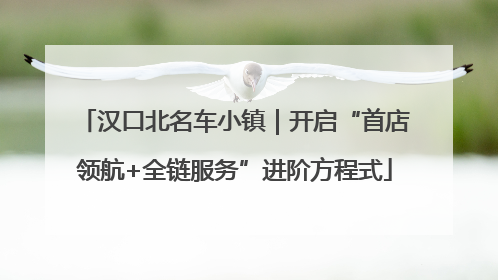 汉口北名车小镇｜开启“首店领航+全链服务”进阶方程式