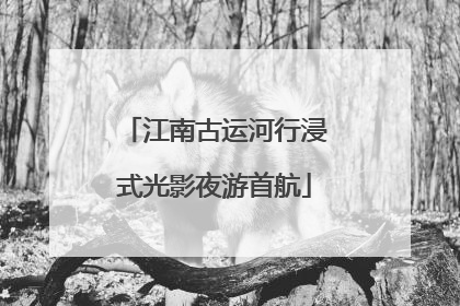 江南古运河行浸式光影夜游首航