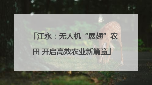 江永：无人机“展翅”农田 开启高效农业新篇章