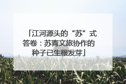 江河源头的“苏”式答卷：苏青文旅协作的种子已生根发芽