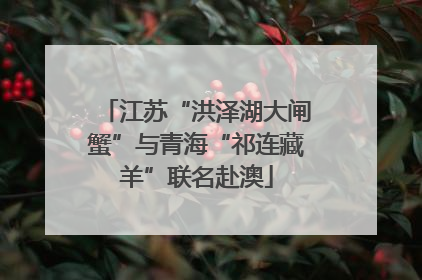 江苏“洪泽湖大闸蟹”与青海“祁连藏羊”联名赴澳