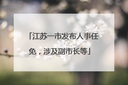 江苏一市发布人事任免，涉及副市长等