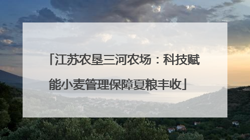 江苏农垦三河农场：科技赋能小麦管理保障夏粮丰收