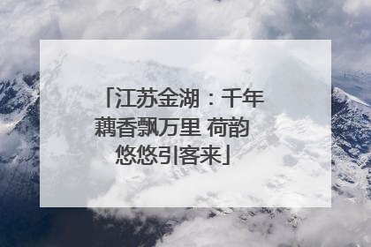 江苏金湖：千年藕香飘万里 荷韵悠悠引客来