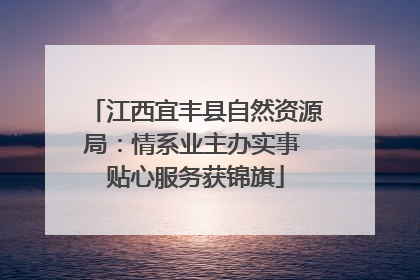 江西宜丰县自然资源局：情系业主办实事 贴心服务获锦旗