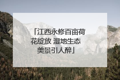 江西永修百亩荷花绽放 湿地生态美景引人醉