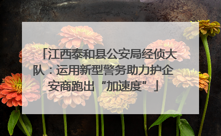江西泰和县公安局经侦大队：运用新型警务助力护企安商跑出“加速度”