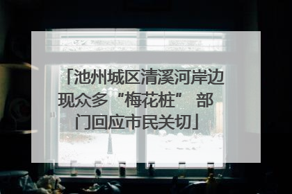 池州城区清溪河岸边现众多“梅花桩” 部门回应市民关切