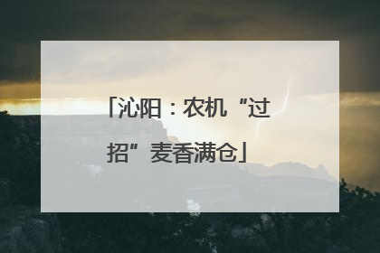 沁阳：农机“过招”麦香满仓