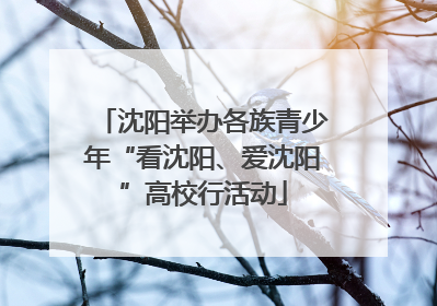 沈阳举办各族青少年“看沈阳、爱沈阳”高校行活动