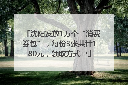 沈阳发放1万个“消费券包”，每份3张共计180元，领取方式→