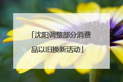 沈阳调整部分消费品以旧换新活动