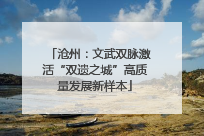 沧州：文武双脉激活“双遗之城”高质量发展新样本